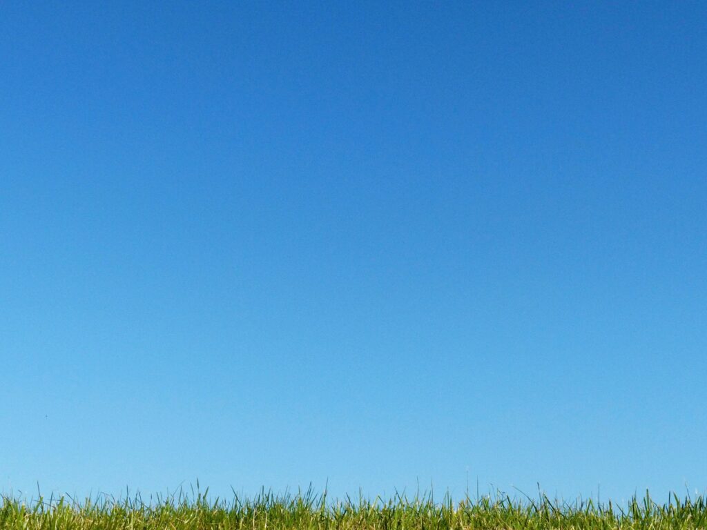 pexels photo 4614181 4614181 A serene image of blue sky over green grass, perfect for nature themes.